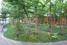 コピス吉祥寺3F吉祥空園sora