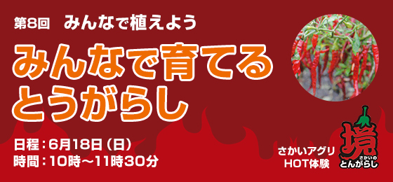 【6/8募集締切!さかいアグリHOT体験】第8回 みんなで育てるとうがらし ~みんなで植えよう~の画像・写真