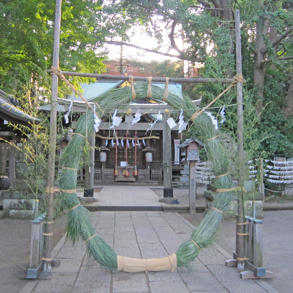 杵築大社 夏越しの大祓祭 武蔵野市観光機構 むー観 武蔵野市 吉祥寺 三鷹 武蔵境 の観光イベント情報