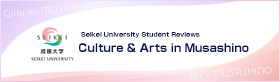 Culture & Arts in Musashino: Seikei University Student Reviews