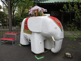 月窓寺の吉祥寺花まつり