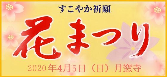 【4/5(日)♪】吉祥寺花まつり(灌仏法要)の画像・写真