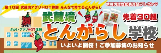 【3/15(日)開催♪先着30組】さかいアグリHOT体験「第10回 みんなで育てるとうがらし」の画像・写真