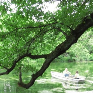 井の頭公園