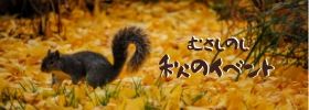 武蔵野市　秋のイベント一覧　2019