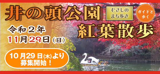 満員御礼 ガイドと歩くまち歩き 井の頭公園紅葉散歩 武蔵野市観光機構 むー観 武蔵野市 吉祥寺 三鷹 武蔵境 の観光イベント情報