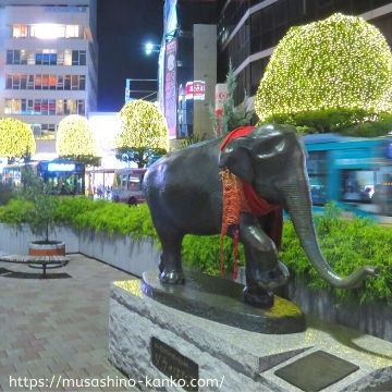 吉祥寺イルミネーション2020