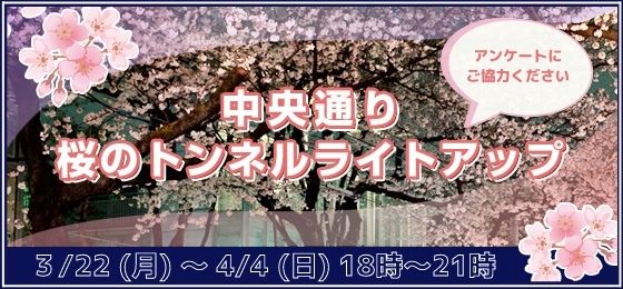 桜並木ライトアップ2021