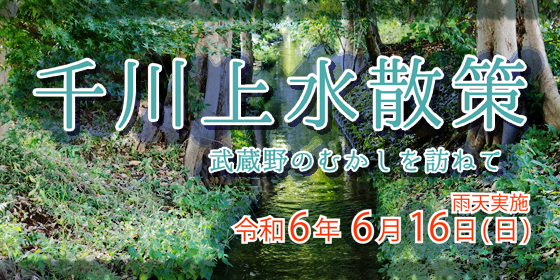 ガイドと歩く　千川上水散策　-武蔵野のむかしを訪ねて-の画像・写真