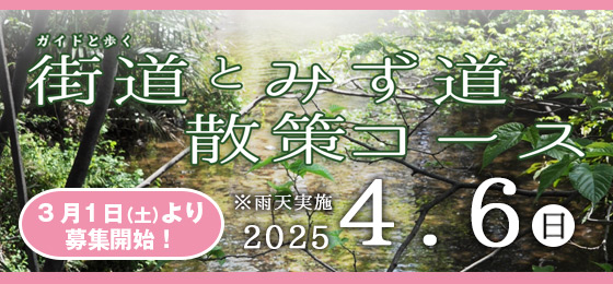 ガイドと歩くまち歩き『街道とみず道散策コース』